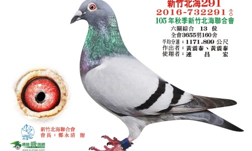 叁药有什么功效、参的功效是什么 -疗参的功效网