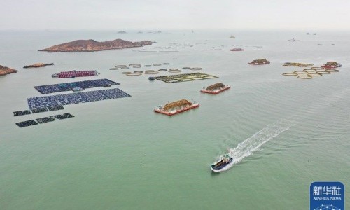 疗参怎么做好吃-叁药有什么功效、参的功效是什么 -疗参的功效网